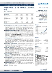 20年业绩预告点评：业绩符合预期，市占率大幅提升，龙一地位稳固