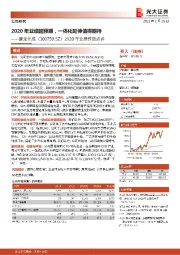 2020年业绩预告点评:2020年业绩超预期,一体化延伸值得期待