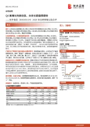 2020年业绩预增公告点评:Q4高增长完美收官,未来长期值得期待