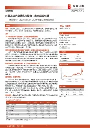 2020年度业绩预告点评:环氧乙烷产业链纵向整合,未来成长可期