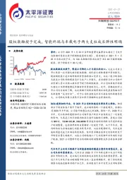 股权激励授予完成，智能终端与车载电子两大支柱成长弹性明确