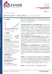 Q4营收创历史新高，智能化大潮将至（太平洋汽车2021年战略推荐）