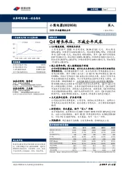 2020年业绩预告点评：Q4增长承压，不减全年风采