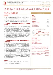 12英寸扩产有序推进，战略投资利润扭亏为盈