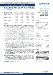 年报业绩符合预期,Q1淡季不淡、增长提速