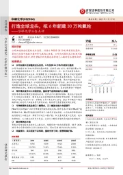 华峰化学公告点评：打造全球龙头，拟6年新建30万吨氨纶