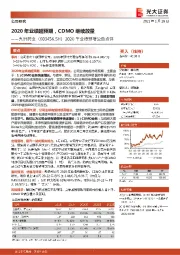 2020年业绩预增公告点评:2020年业绩超预期,CDMO继续放量