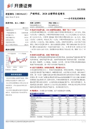 公司信息更新报告：产销两旺，2020业绩预告高增长