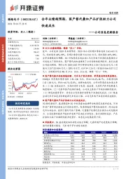 公司信息更新报告：全年业绩超预期，国产替代叠加产品扩张助力公司快速成长