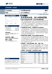 2020年业绩预增点评：光伏装机加速，Q4业绩超预期