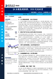 业绩预告点评：Q4业绩表现强势，2020完美收官