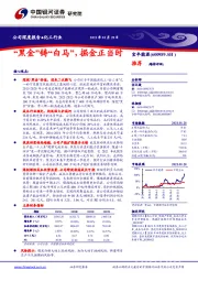 “黑金”铸“白马”,掘金正当时