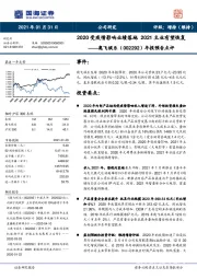 年报预告点评：2020受疫情影响业绩落地 2021主业有望恢复