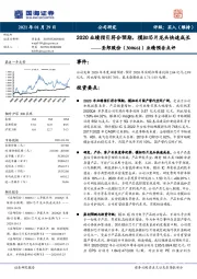 业绩预告点评：2020业绩指引符合预期，模拟芯片龙头快速成长