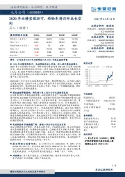 2020年业绩实现扭亏，两轮车将打开成长空间