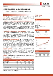 2020年度业绩预告点评:复合肥业绩超预期,关注新型肥料未来发展