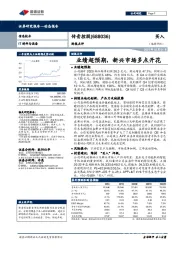 财报点评:业绩超预期,新兴市场多点开花