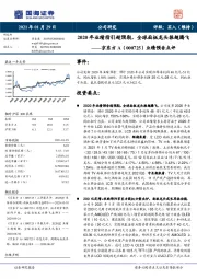 业绩预告点评：2020年业绩指引超预期，全球面板龙头振翅腾飞