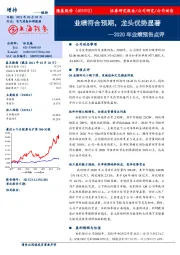 2020年业绩预告点评：业绩符合预期，龙头优势显著