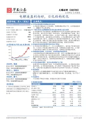 电解液盈利向好，日化结构优化