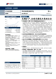 重大事件点评:定增扩产,全球光储龙头亮剑出击