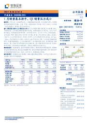 1月销量基本持平，Q1销量压力或小