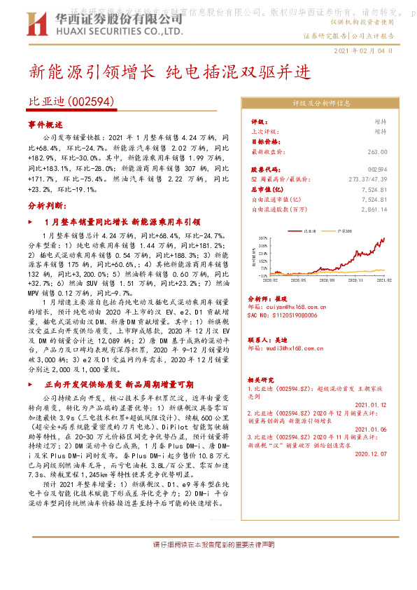 新能源引领增长 纯电插混双驱并进