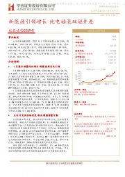 新能源引领增长 纯电插混双驱并进