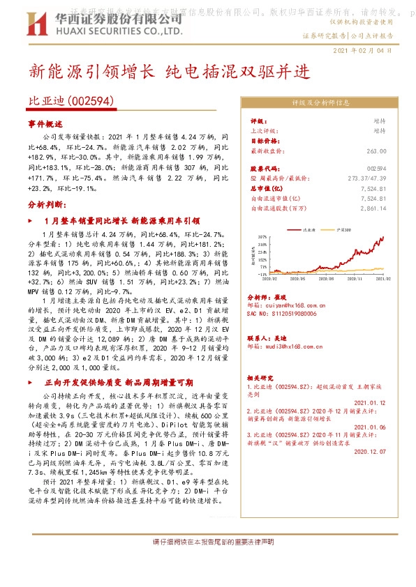 新能源引领增长 纯电插混双驱并进