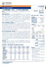 1月销量稳健，DM-i、刀片新车型蓄势待发