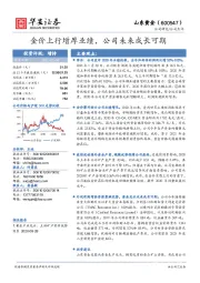 金价上行增厚业绩，公司未来成长可期