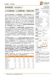 20年业绩超预期，Q4利润翻倍增长，弯道超车典范