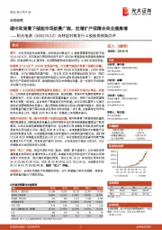 向特定对象发行A股股票预案点评:碳中和背景下储能市场前景广阔,定增扩产保障未来业绩高增