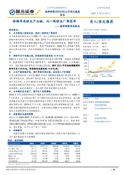 盛新锂能深度报告：持续布局锂业产业链，向一线锂业厂商进军