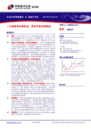 1月销售创同期新高，拿地节奏有望提速