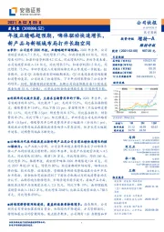 年报业绩略超预期，嗨体驱动快速增长，新产品与新领域布局打开长期空间