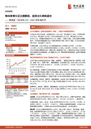 2020年年报点评：嗨体高增长促业绩靓丽，医美龙头继续盛放