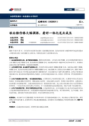 重大事件快评:钛白粉价格大幅调涨,看好一体化龙头成长
