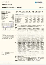 定增扩产光伏压延玻璃，宁夏马来两地加码