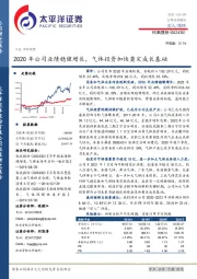 2020年公司业绩稳健增长,气体投资加快奠定成长基础