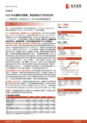 2020年业绩快报点评:2020年业绩符合预期,新品获批打开成长空间