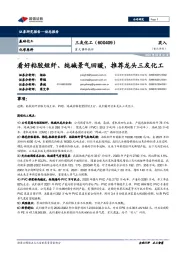 重大事件快评:看好粘胶短纤、纯碱景气回暖,推荐龙头三友化工