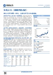炼化-化纤均衡一体化,全球化纤巨头加速崛起