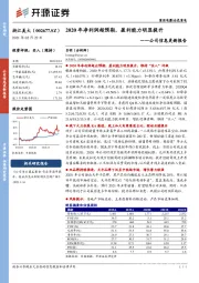 公司信息更新报告：2020年净利润超预期，盈利能力明显提升