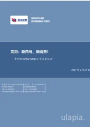 公司深度报告：亮剑：新白马，新消费！