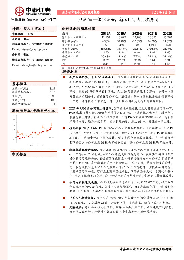 尼龙66一体化龙头，新项目助力再次腾飞