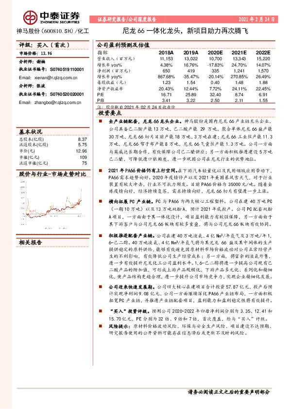 尼龙66一体化龙头，新项目助力再次腾飞
