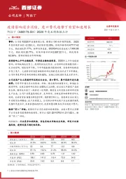 2020年度业绩快报点评：疫情影响逐步消除，进口替代趋势下有望加速增长