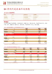 Q4净利只是表面不及预期