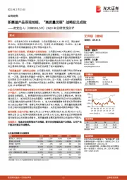 2020年业绩快报点评:新赛道产品表现抢眼,“高质量发展”战略初见成效